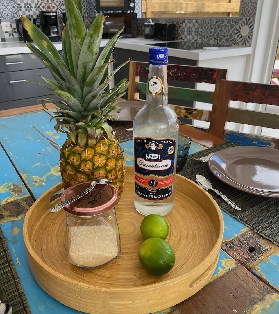 Villa Papagayo 圣弗朗索瓦 0*,