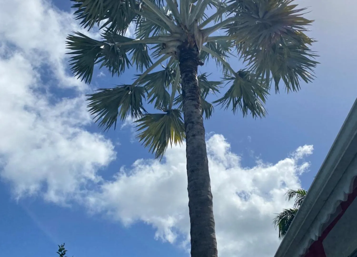 Villa Papagayo 圣弗朗索瓦